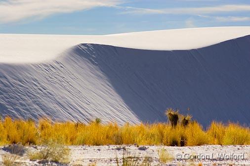 White Sands_31755.jpg - Photographed at the White Sands National Monument near Alamogordo, New Mexico, USA.